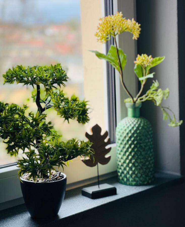 Ferienwohnung Thiele In Rosswein エクステリア 写真